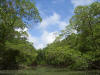 amazonas guia de viajes