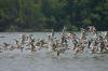 mejia lagoons full day
