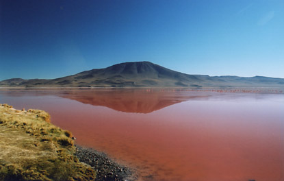 laguna colorada bolivia