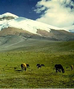 Ecuador
