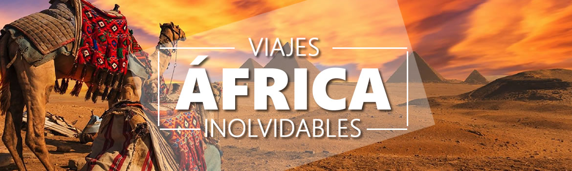 Tours al África desde Lima