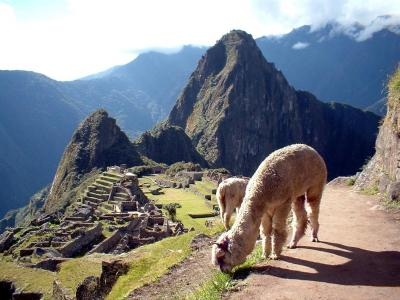 viaje a machu picchu peru