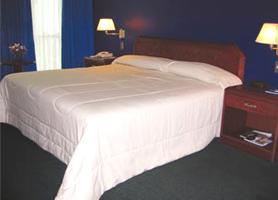 los delfines hotel