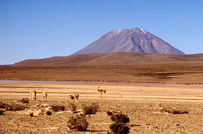pampa cañahuas arequipa viajes
