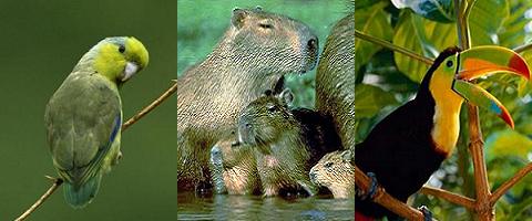peru tours ecoturismo