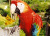 tour descubre el peru