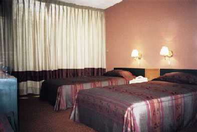 taypikala puno hotel