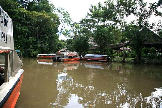 albergue explorama iquitos peru