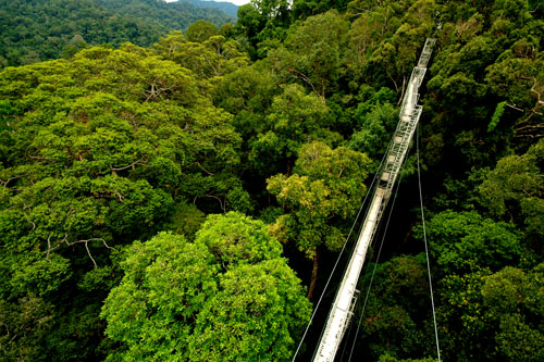 camino colgante iquitos viajes