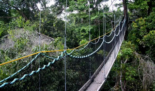 camino colgante iquitos
