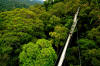 canopy walkway iquitos