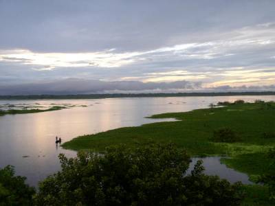 ceiba iquitos peru