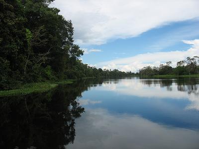 reserva nacional pacaya samiria