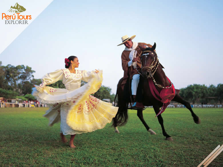 Exhibición de Caballos de Paso