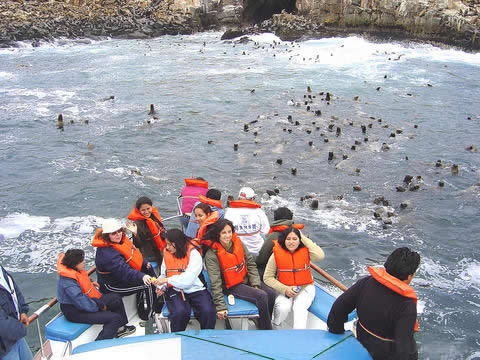 islas palomino peru