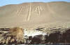 paracas basico tour 2 dias