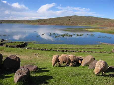 sillustani puno viajes