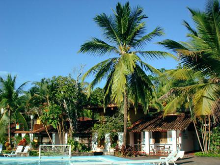 puerto palmeras tour 4 dias